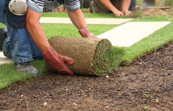 Lawn Installation & Treatment