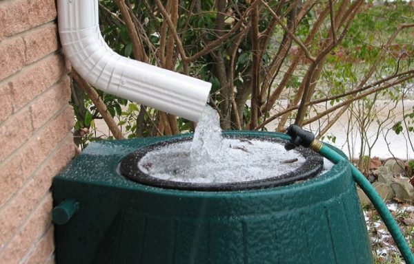 Rainwater Harvesting Systems